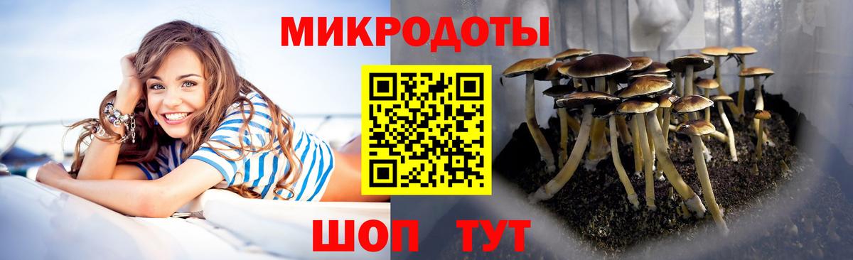 Псилоцибиновые грибы прущие грибы  Вход с VPN  Кизилюрт 